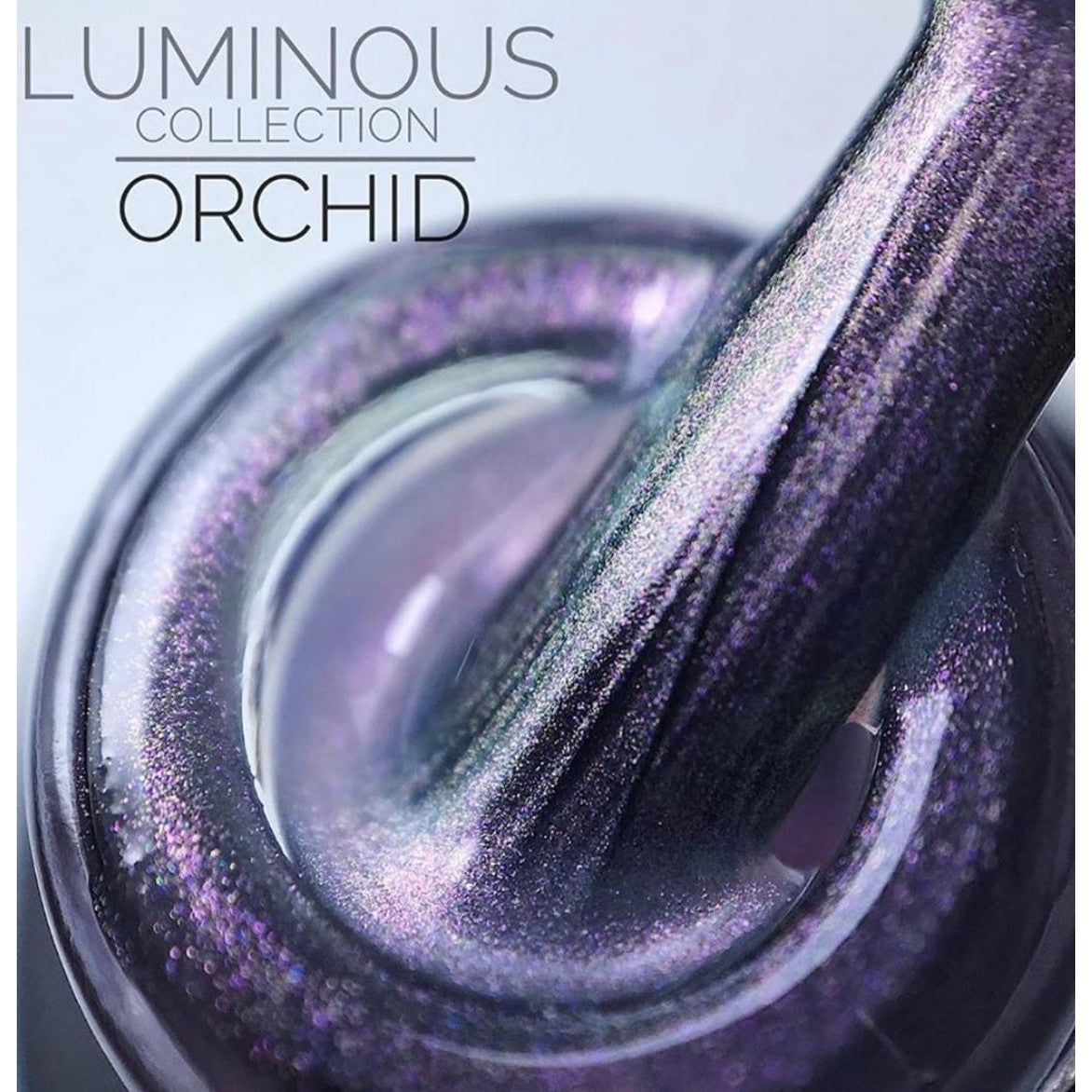 Luxio Luminous Orchid