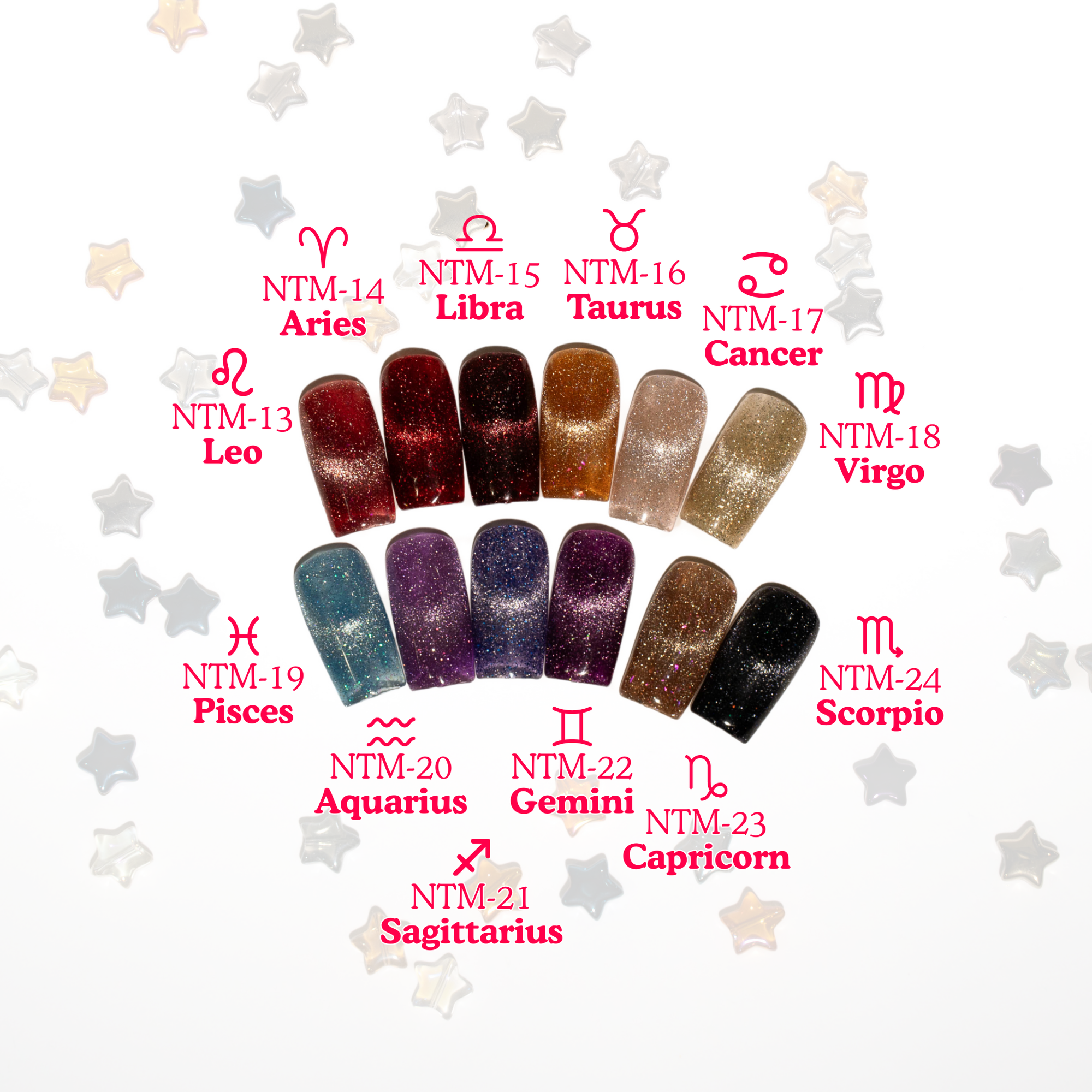 12pc Nail Thoughts Zodiac Flash Magnetic Collection (NTM-13 ~ 24)