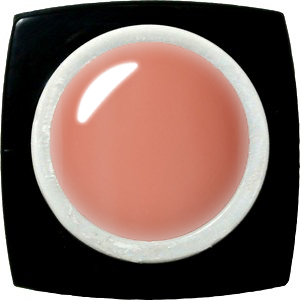 K- E-321S Peach Coral Color Gel 2.5g