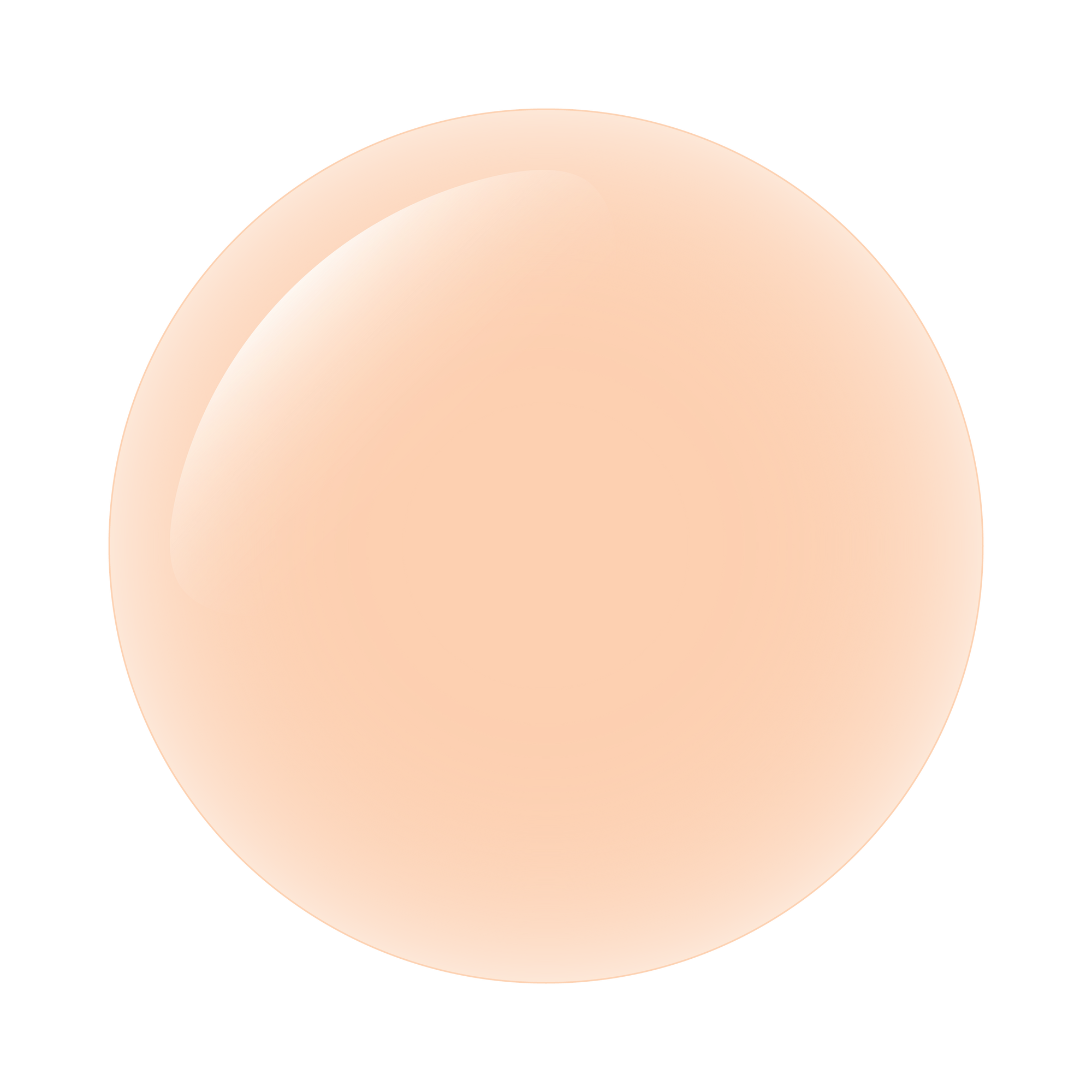 Tom Bachik - Concealer Series CS-107