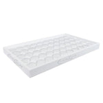 Crystal Culture Tray Large-Gel Essentialz