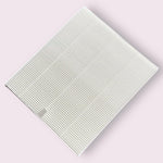 HEPA Filter for SMART PRO Air (new!)