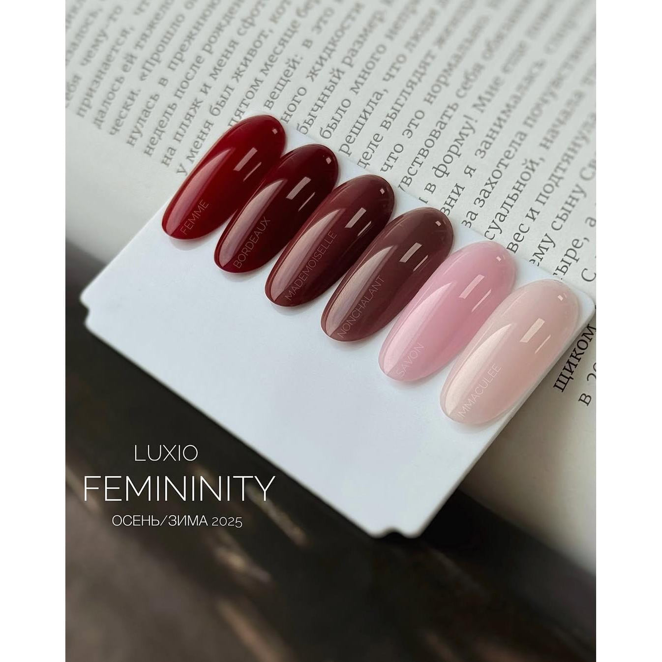 Vendor] Full Size Luxio - Femininity Collection *NEW* 6PACK-LUX