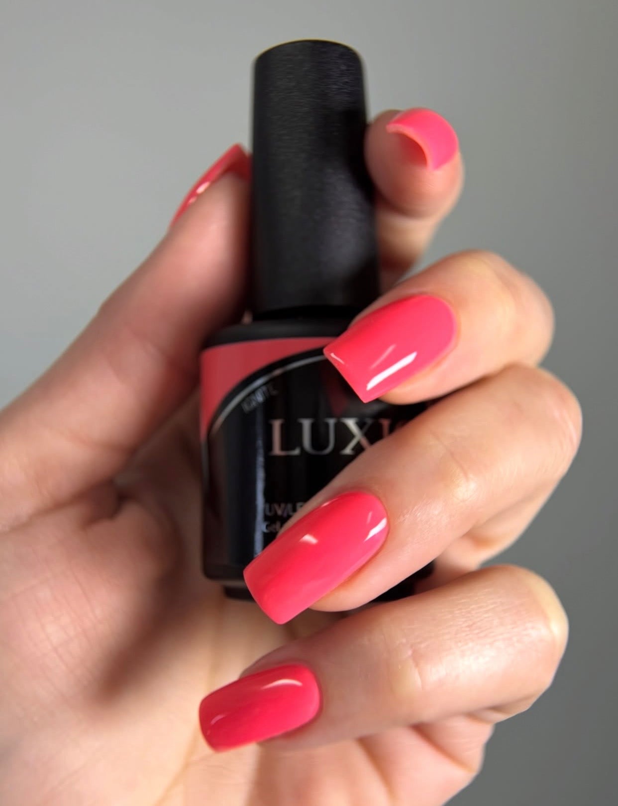 Luxio Ignite *NEW*