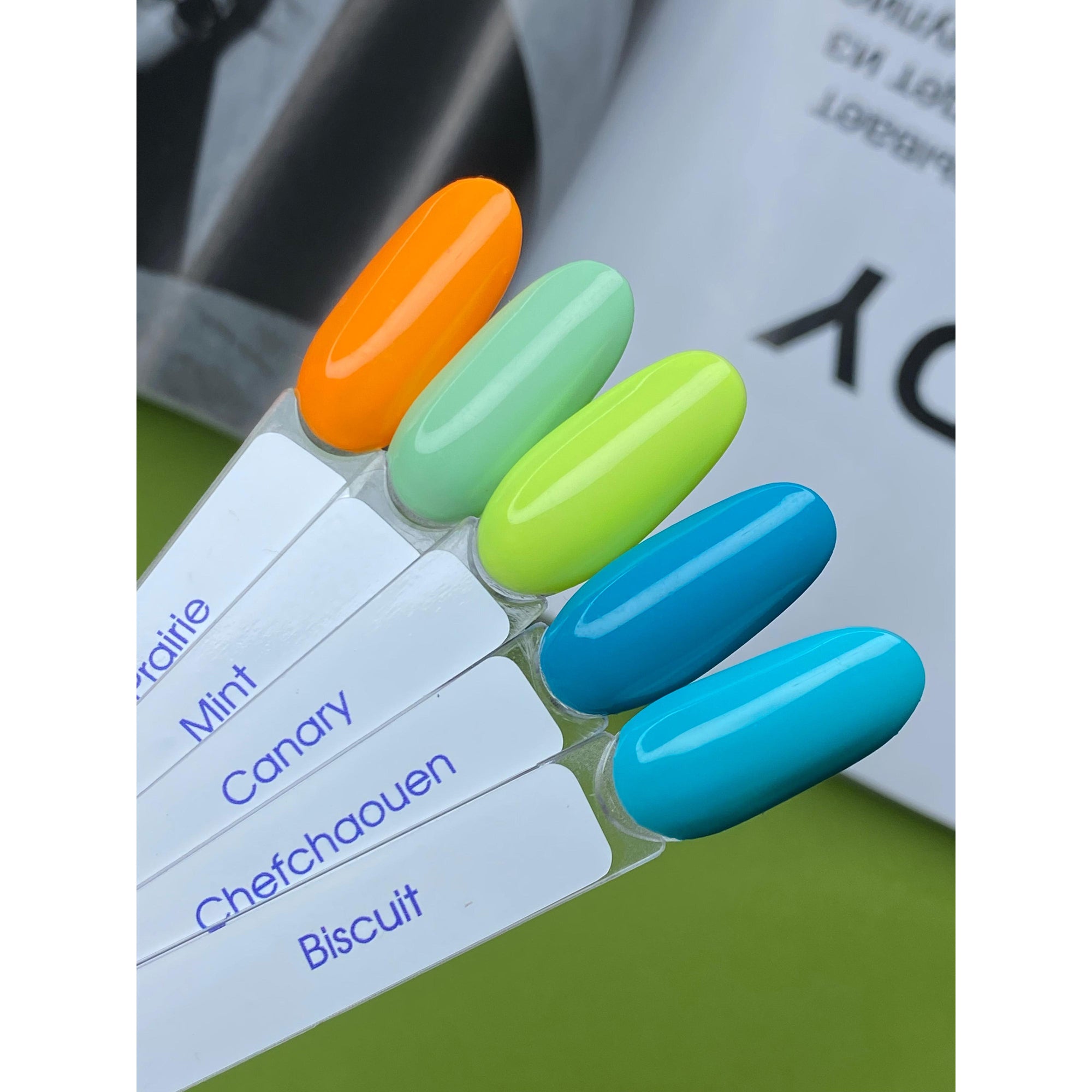 American Creator Color Gel – BISCUIT