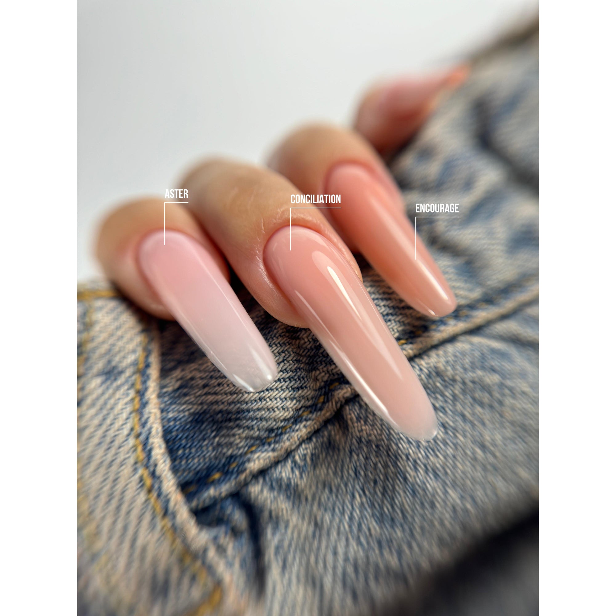 American Creator Framework Gel - ASTER