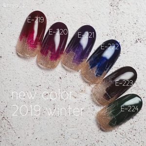 K- E-224 Midnight Forest Color Gel 2.5g