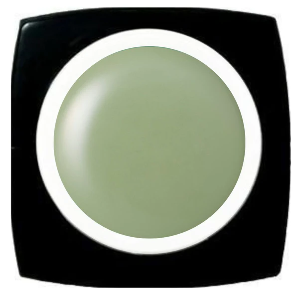 K- E-293 Pistachio Butter Color Gel 2.5g