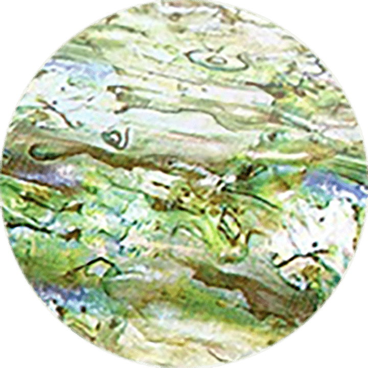 Lime Shell Transfer Foil