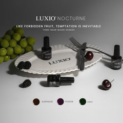 Vendor] Full Size Luxio - Nocturne Studio Nº14 Collection 11/2025