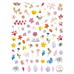 Pasties Decals - Dried Flowers