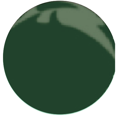 Babe Gel - Holiday Palette - Naomi