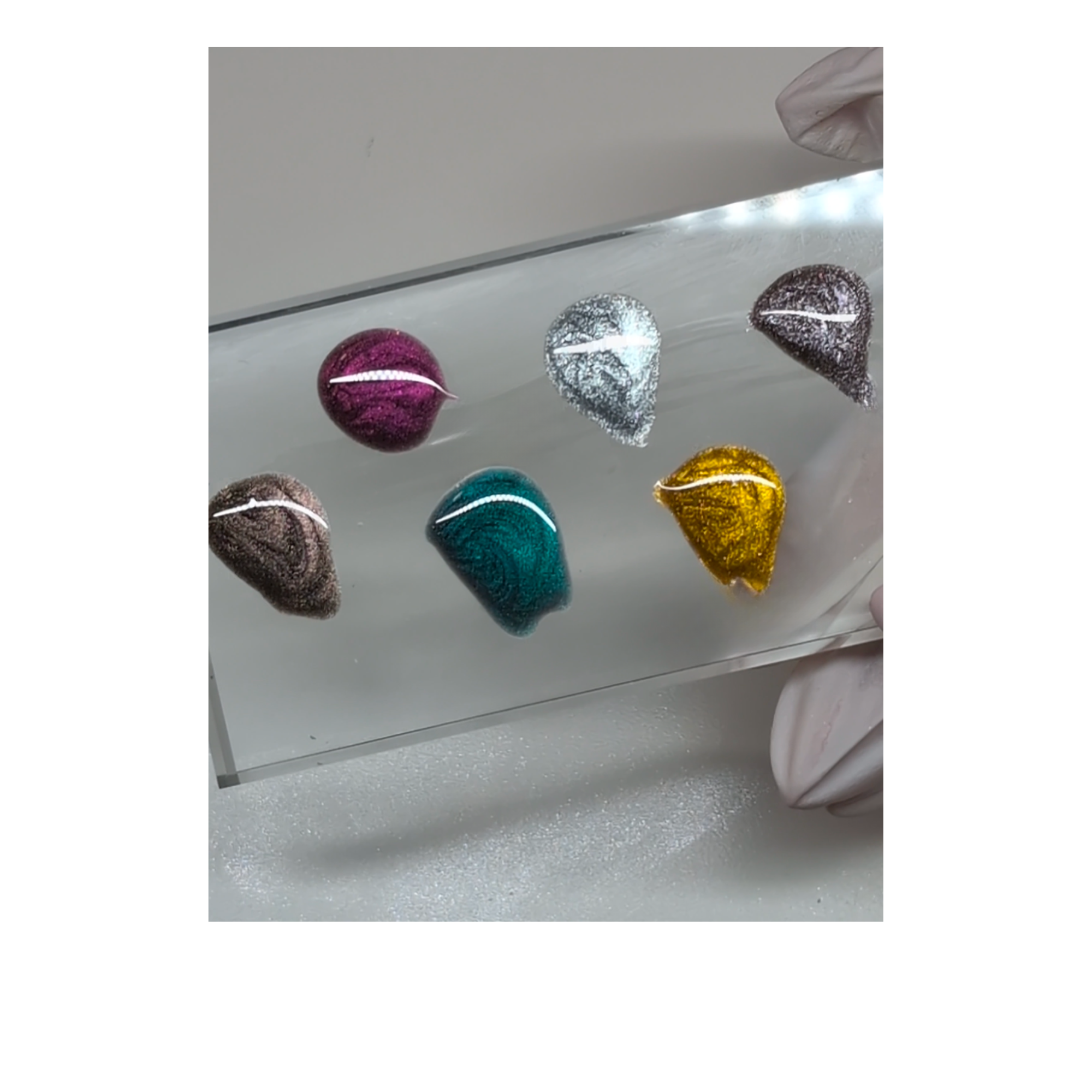 P+ Kitties Bundle, Magnetic Gel Polish 6pc Set-P+ Gel Polish 10 ml-Light Elegance-Gel Essentialz