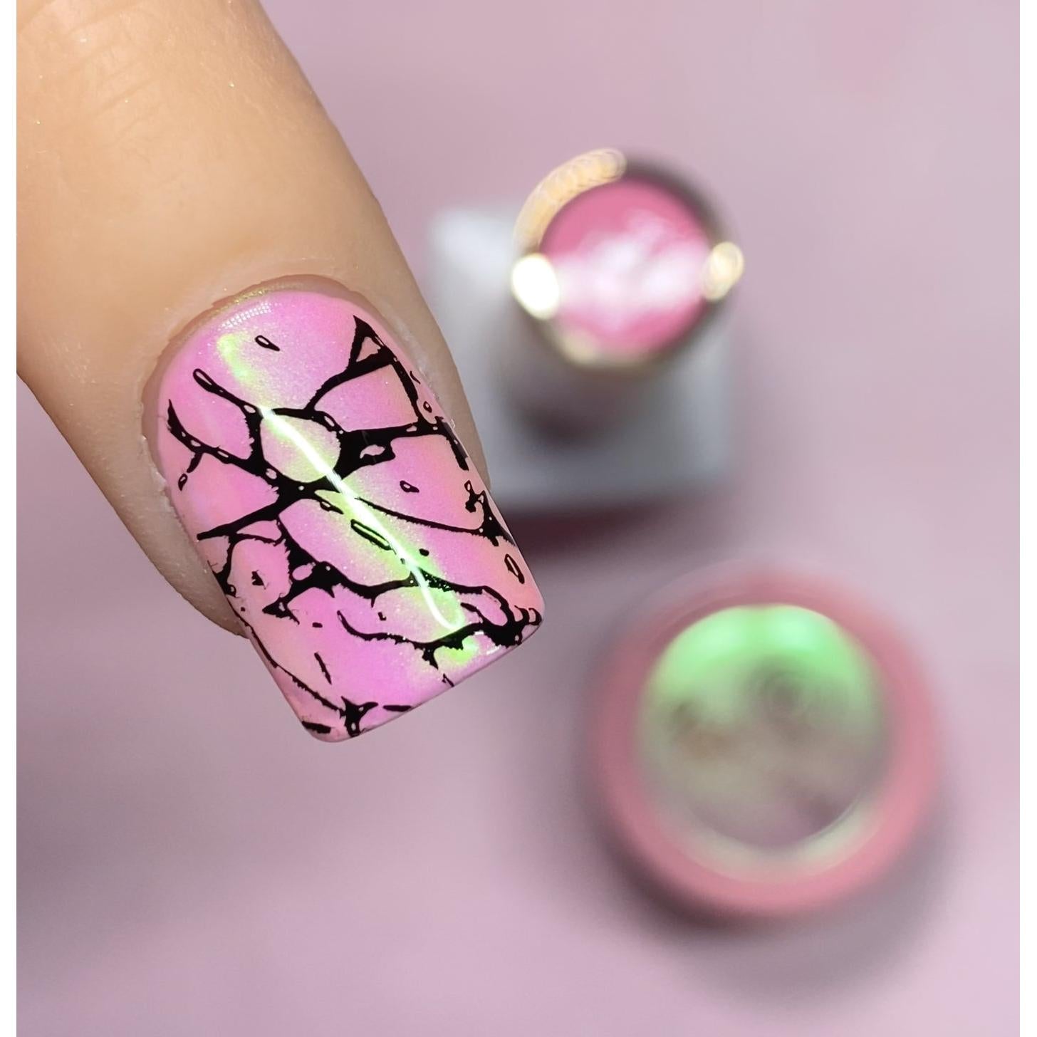 RI-  2-in-1 Stamping + Paint Gel