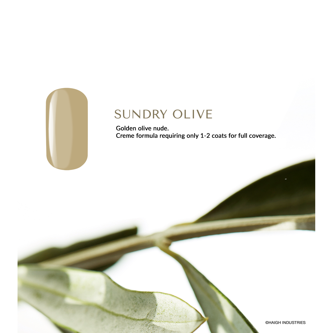 UV/LED Sundry Olive