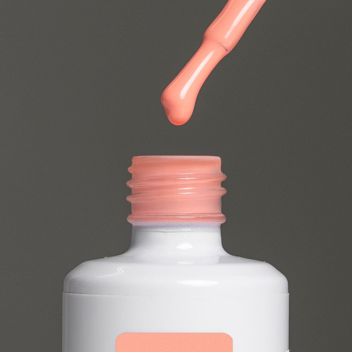 American Creator Color Gel – FIORENTIA