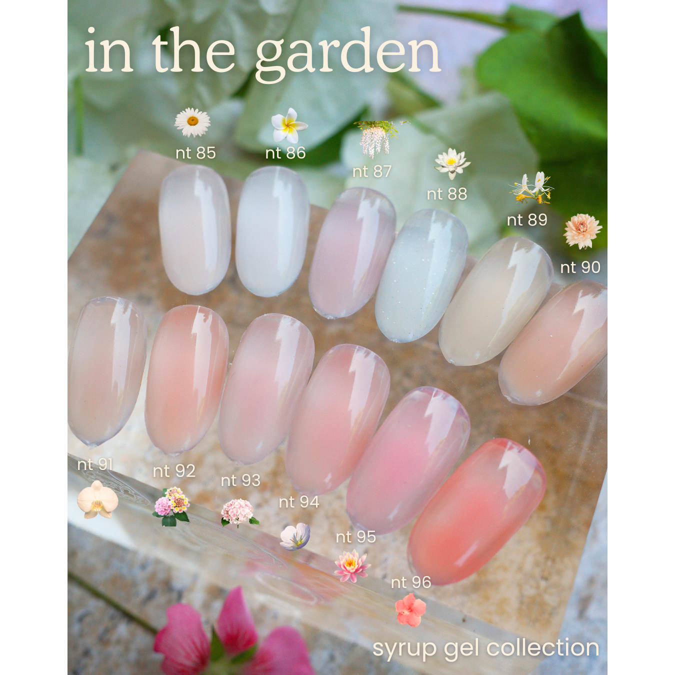 NT BASE-37  Plumeria Syrup Base, 10g