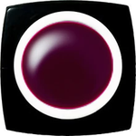 K- E-219 Midnight Burgundy Color Gel 2.5g