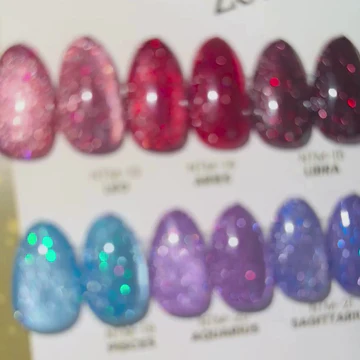 Vendor] 12pc Nail Thoughts Zodiac Flash Magnetic Collection (NTM