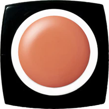 K- E-218 Smoky Persimmon Color Gel 2.5g