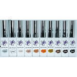 PF Gel Art Liners - 10pc Fall Collection Box-Nail Art Kits & Accessories-Profiles-Gel Essentialz