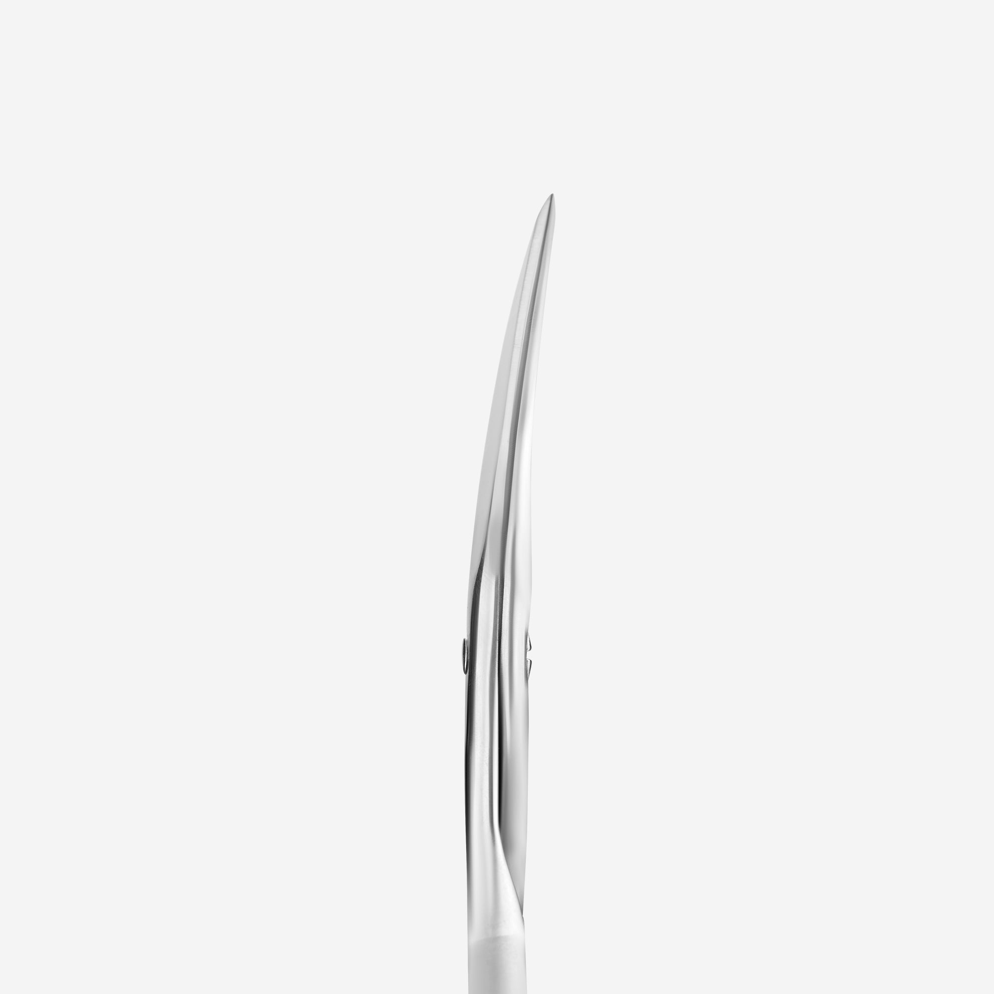 Staleks nail scissors BEAUTY & CARE 10 TYPE 2 - Matte