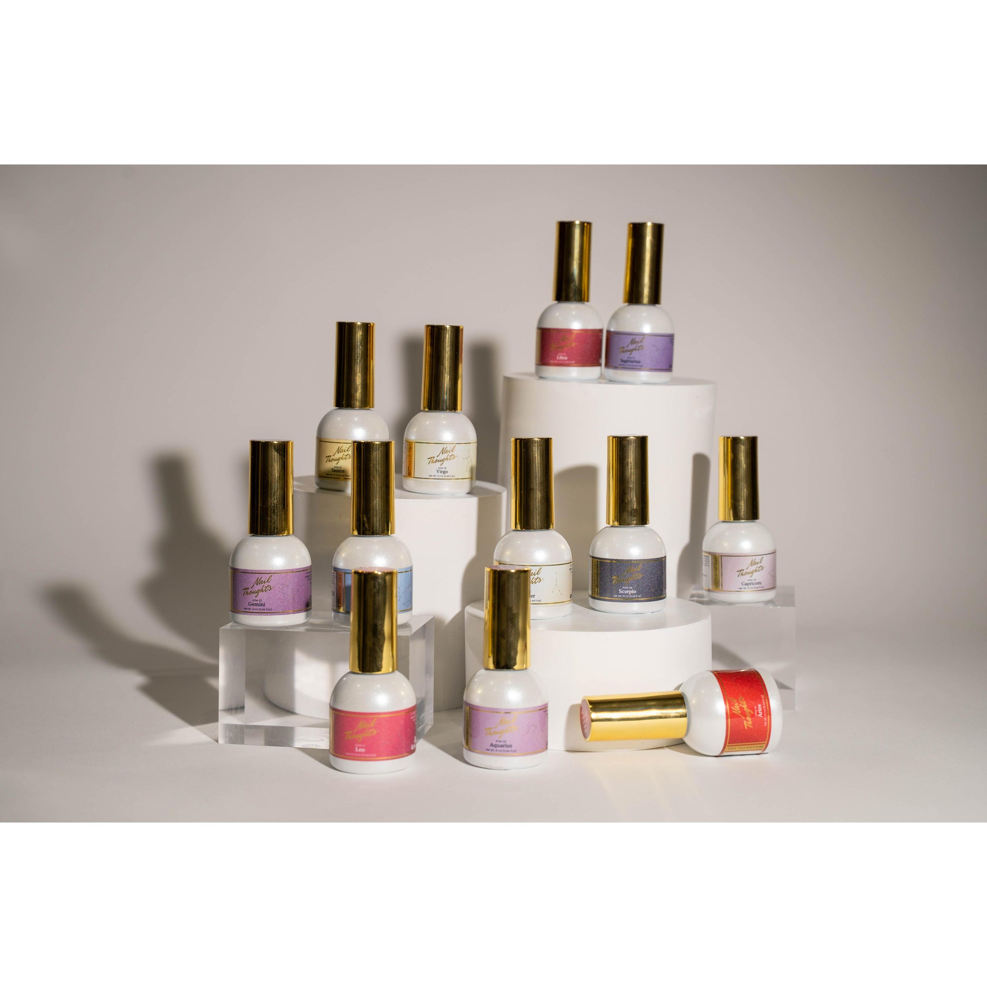 12pc Nail Thoughts Zodiac Flash Magnetic Collection (NTM-13 ~ 24)